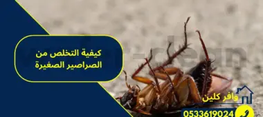 التخلص من البراغيث في الفراش